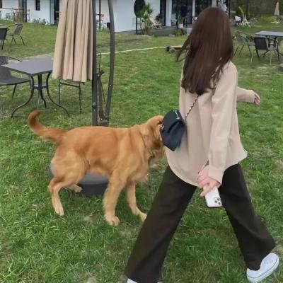 巴德美因霍夫